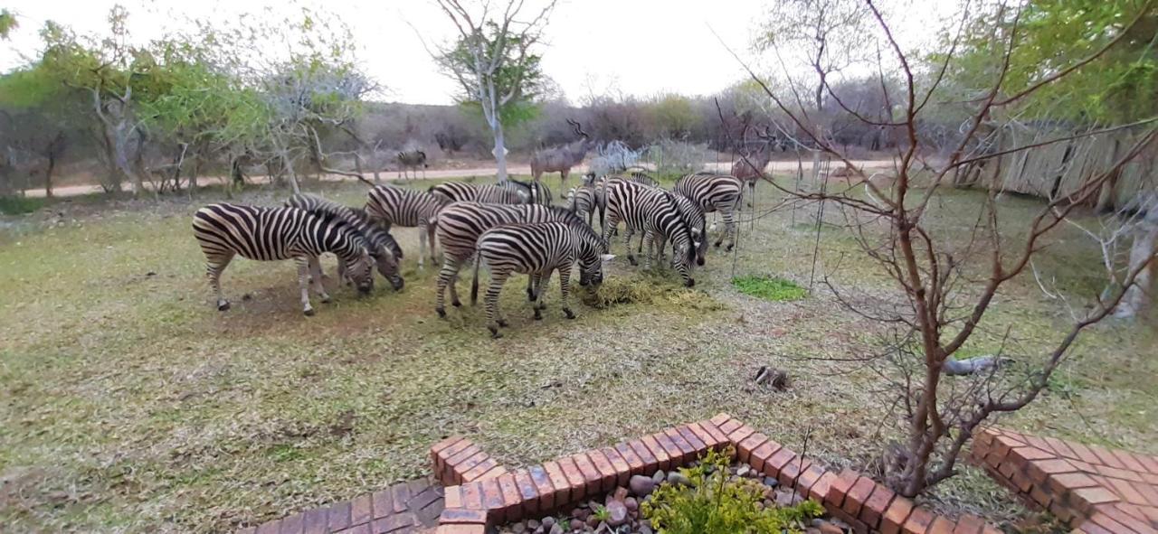 Kruger Riverside - No Load-shedding Lodge *