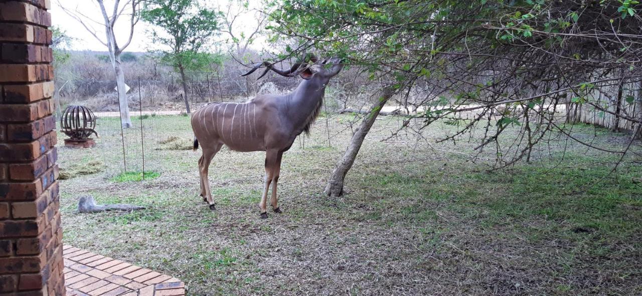 Kruger Riverside - No Load-shedding Marloth Park