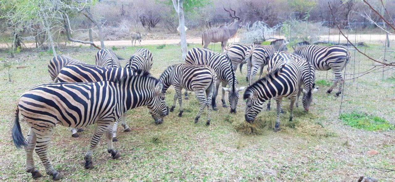 Lodge Kruger Riverside - No Load-shedding *