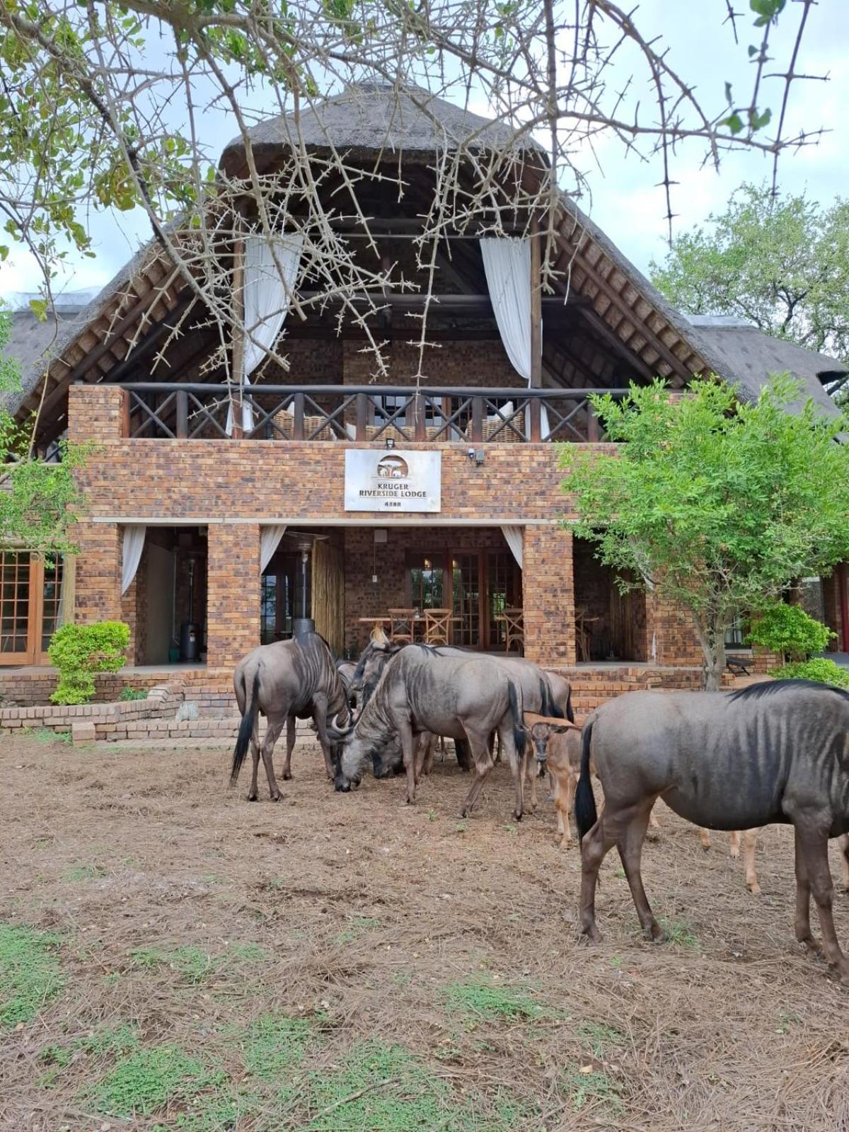 Kruger Riverside - No Load-shedding Lodge