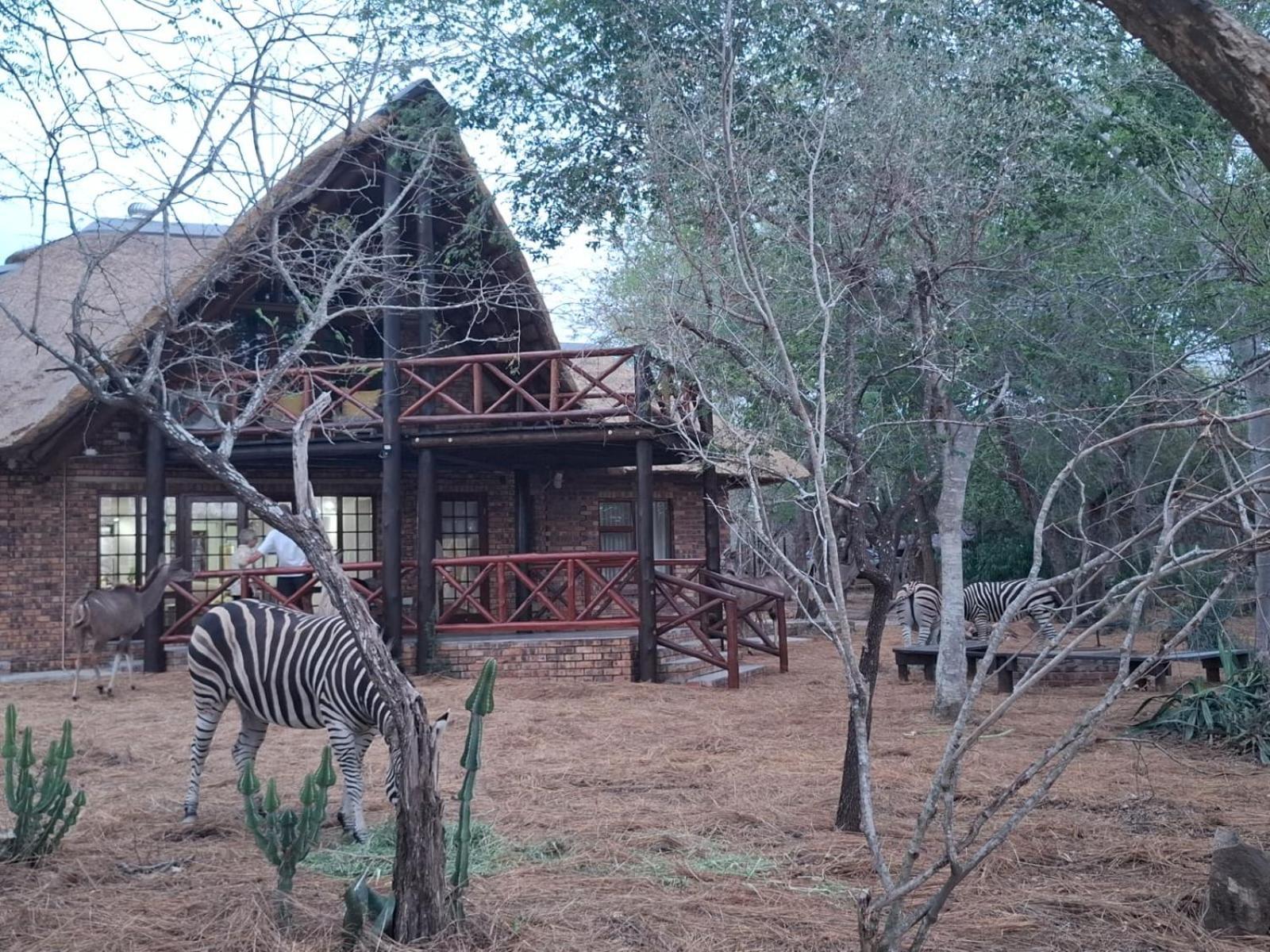 Lodge Kruger Riverside - No Load-shedding *