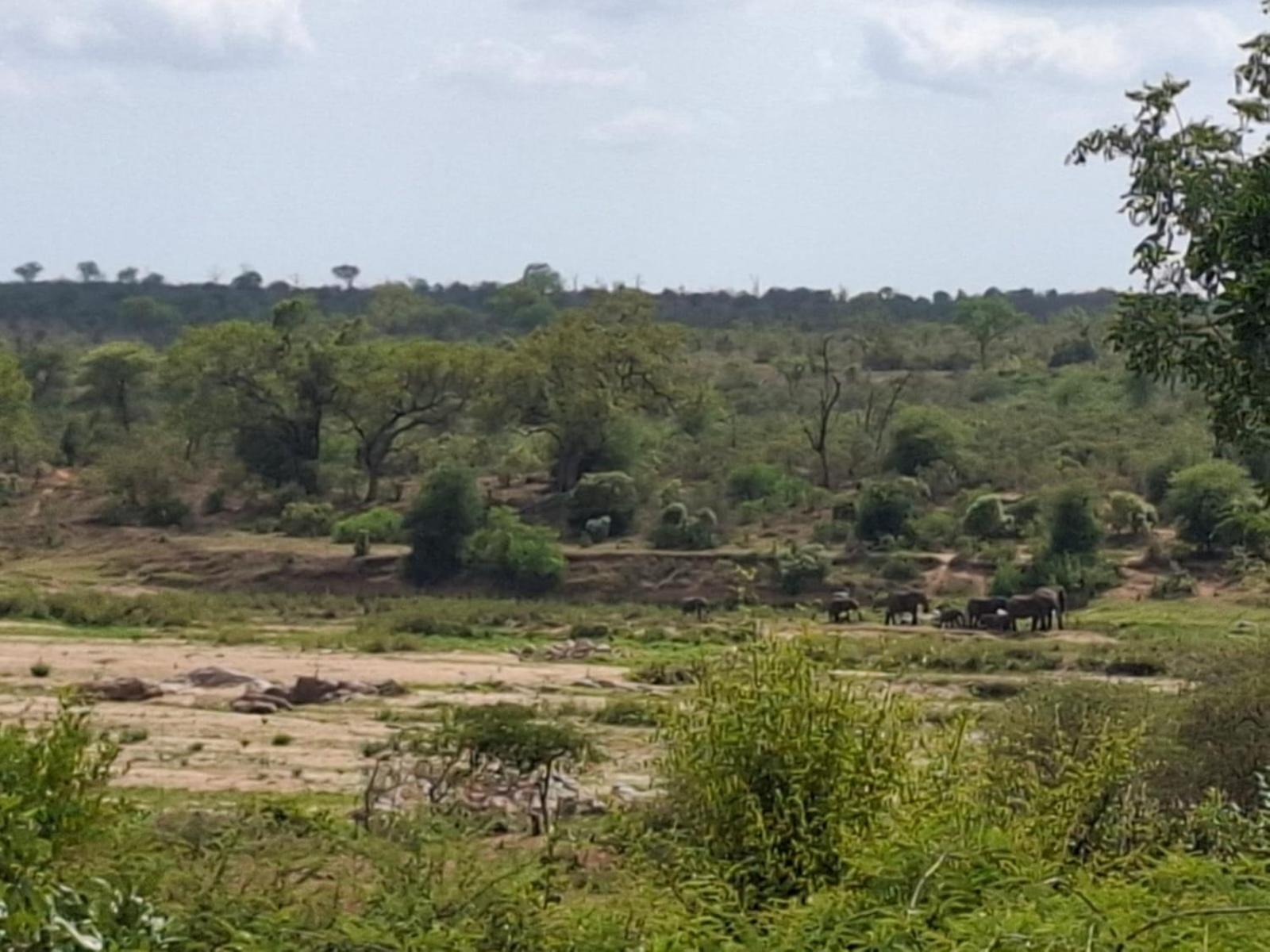 Lodge Kruger Riverside - No Load-shedding