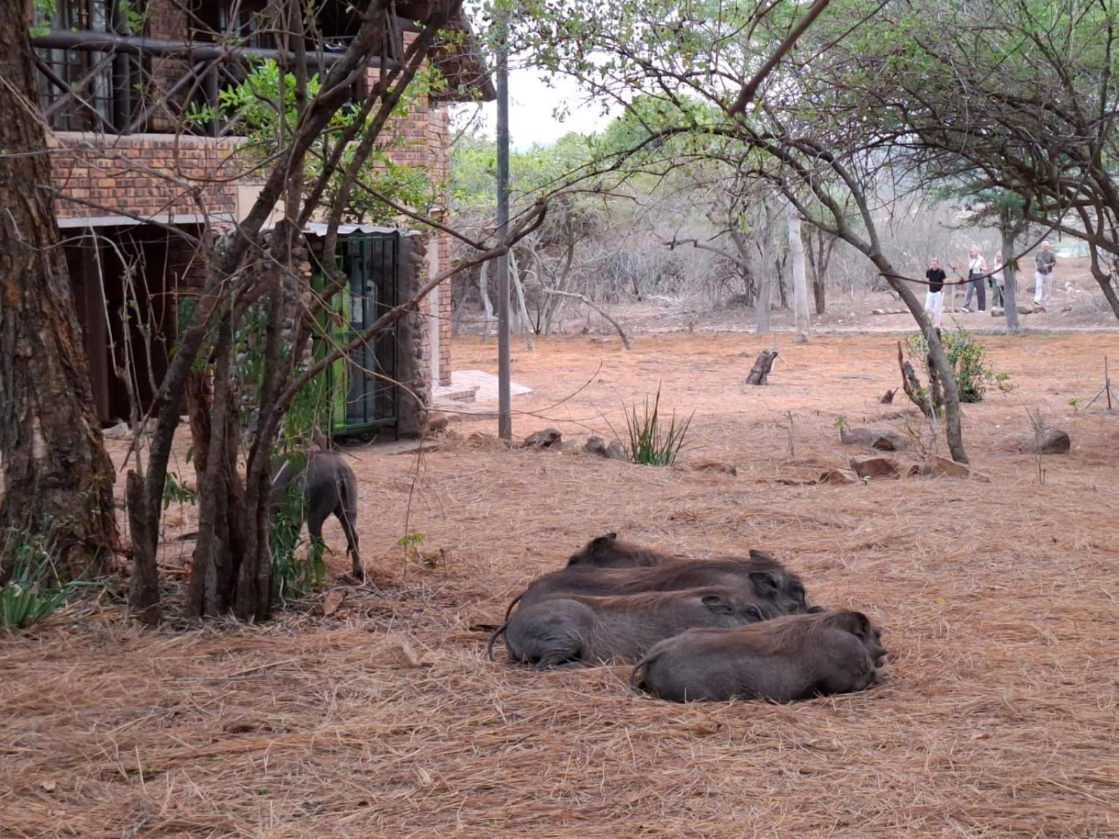 Kruger Riverside - No Load-shedding Lodge Marloth Park