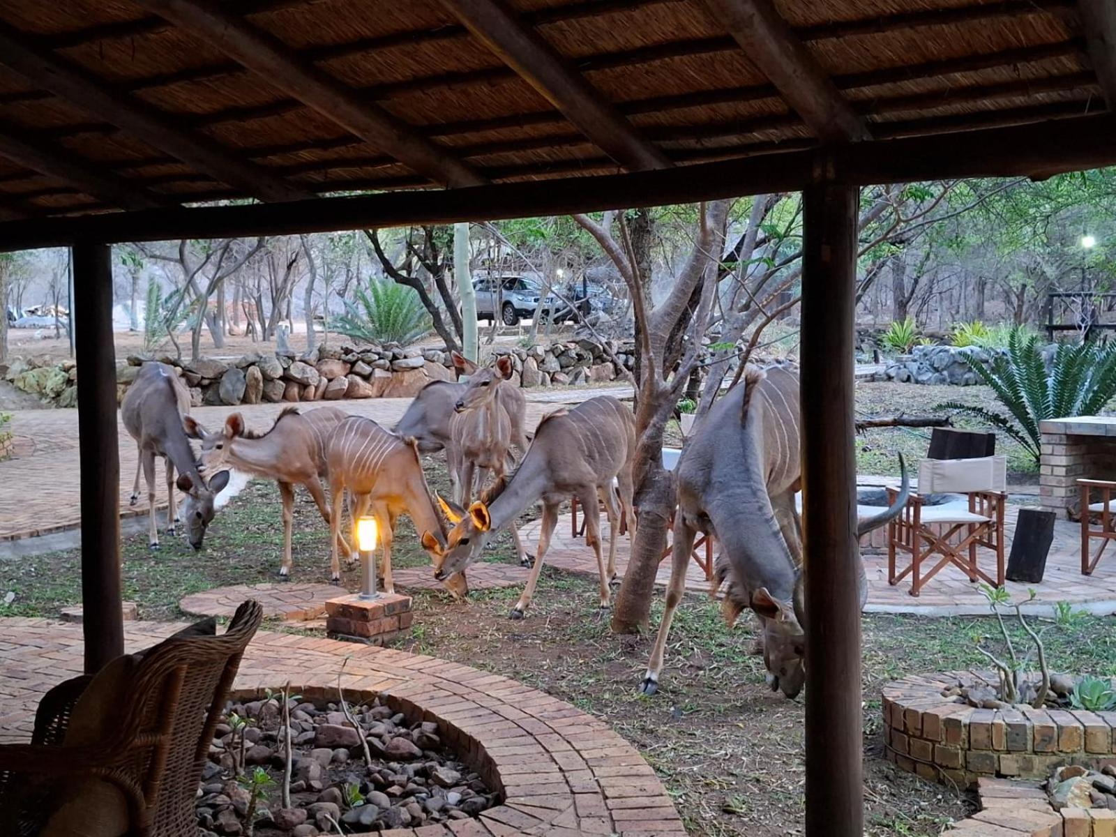 Kruger Riverside - No Load-shedding Lodge
