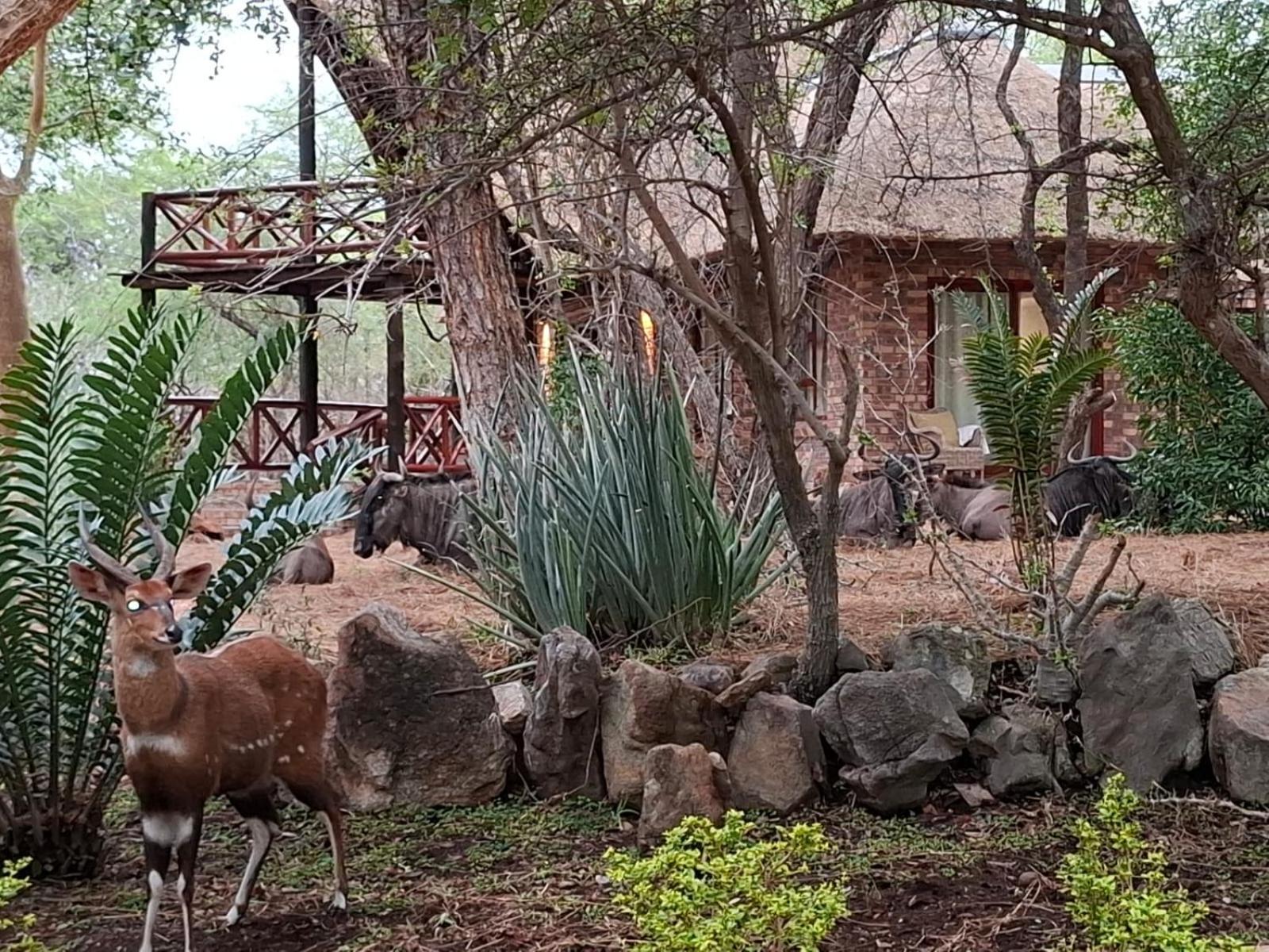 Kruger Riverside - No Load-shedding Lodge