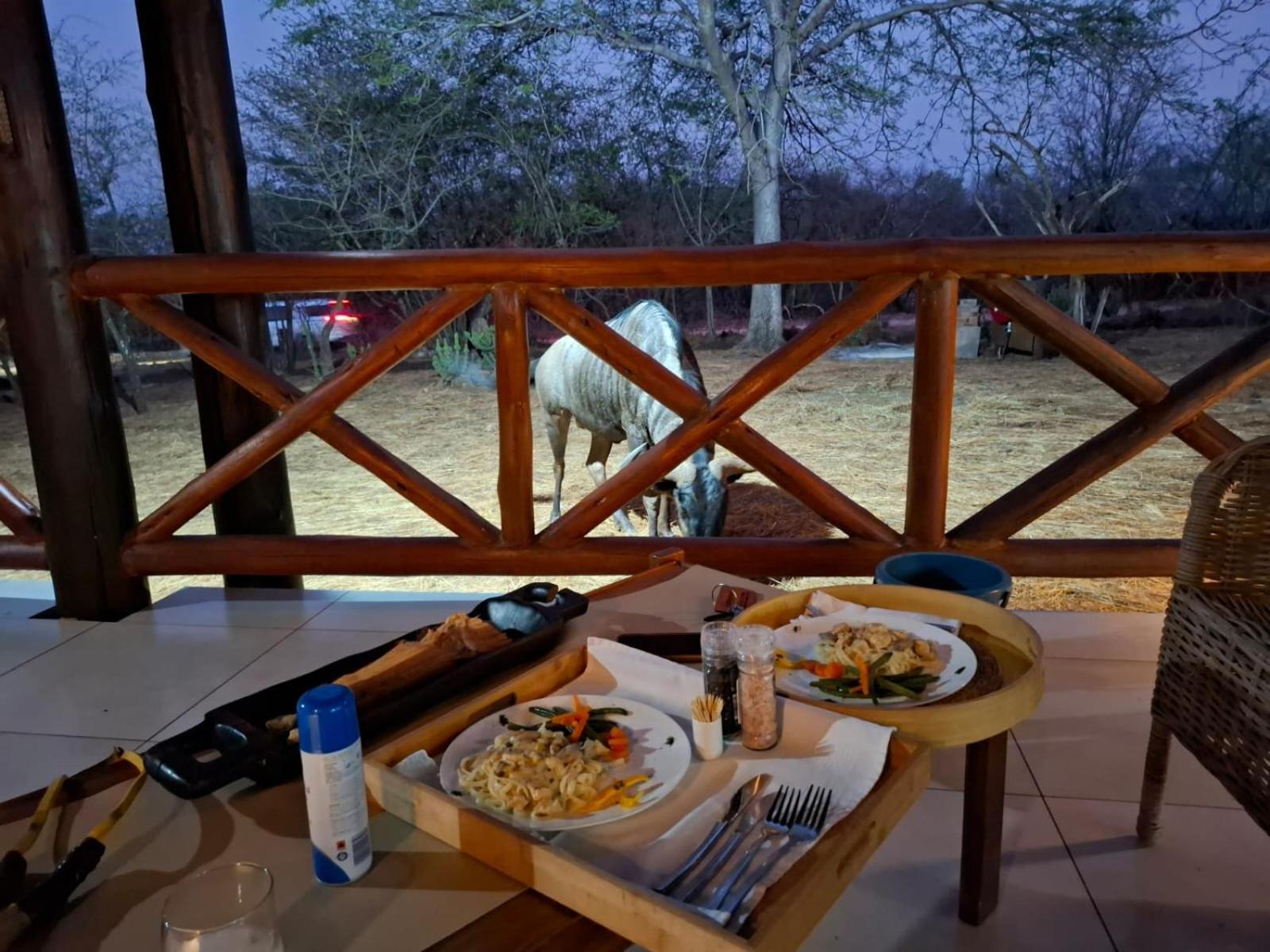 Lodge Kruger Riverside - No Load-shedding *